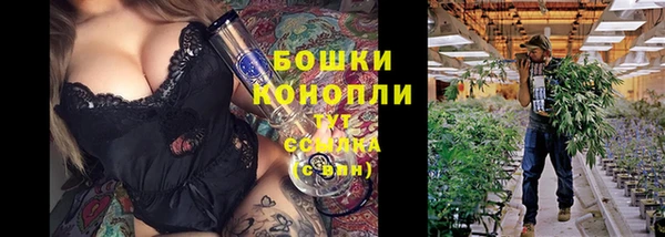 apvp Билибино